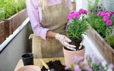 Make the most of your balcony garden..